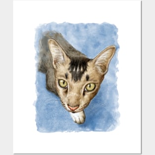 Cute adorable cat portrait watercolor painting Posters and Art